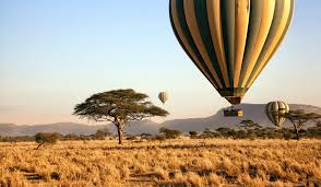 Serengeti Safari